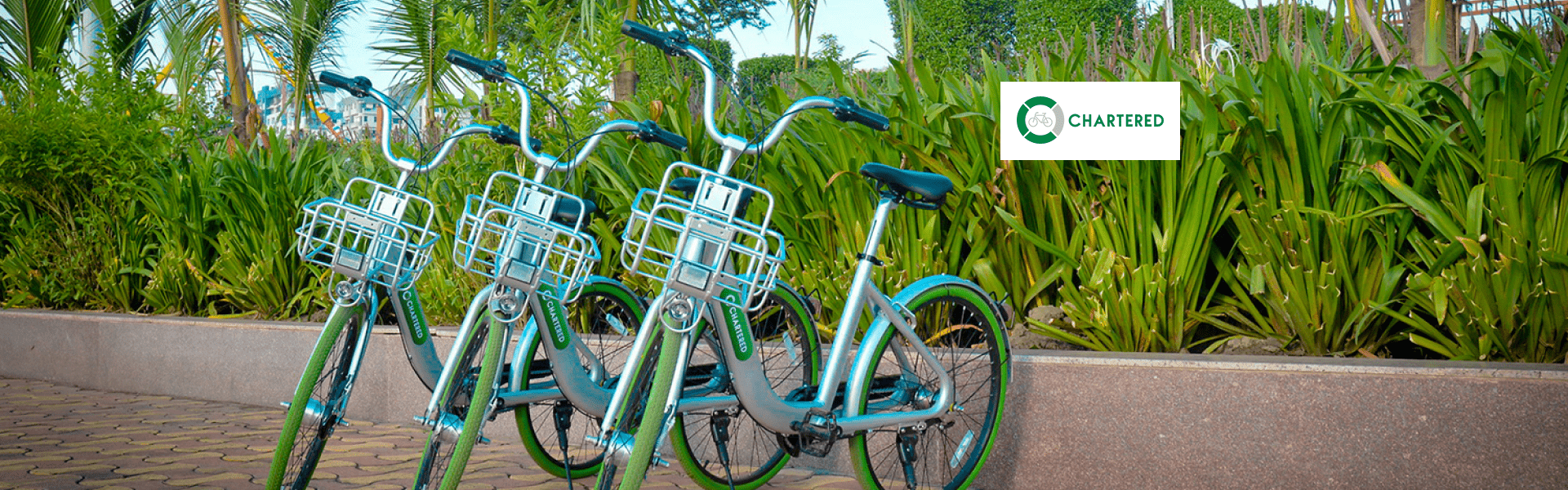 green bike coop